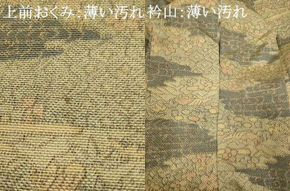 平和屋着物■上質な紬　雲取り吉祥花文　正絹　逸品　AABB7787fw