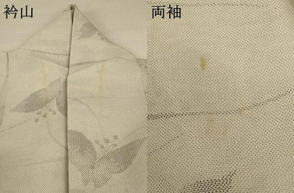 平和屋着物＊夏物 本場大島紬 夏大島 舞蝶文 正絹 逸品 AABB8247jd