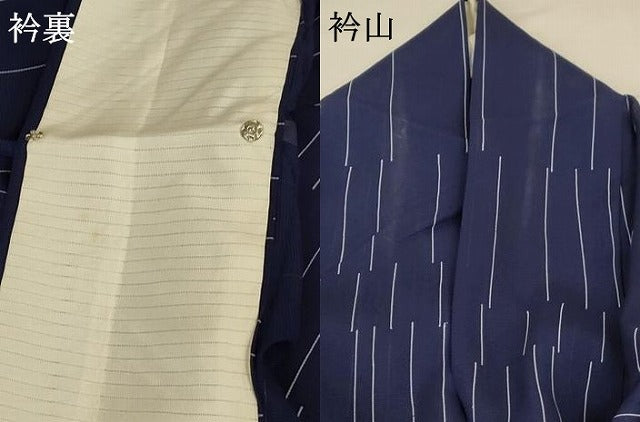 平和屋着物＊夏物 小紋 紗 変わり縞 正絹 逸品 AABB8270jd