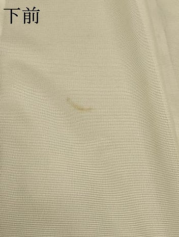 平和屋着物＊夏物 訪問着 絽 流水草花文 暈し染め 洗える着物 AABB8290jd