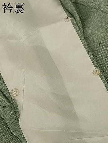 平和屋着物＊夏物　江戸小紋　絽縮緬　寄せ小紋柄　正絹　逸品　未使用　AABB8296jd