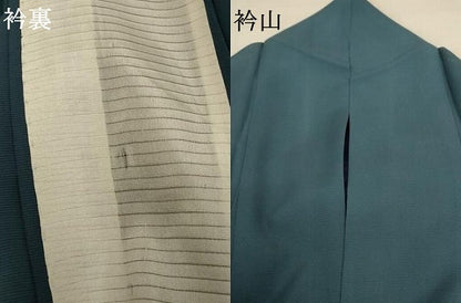 平和屋着物＊夏物 訪問着 絽 手描き 風景文 鷺 暈し染め 金彩 ロング丈 正絹 逸品 AABB8300jd