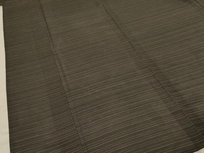 平和屋着物＊夏物 小紋 絽 横段文 銀彩 ゑり善扱い ロング丈 正絹 逸品 AABB8315jd