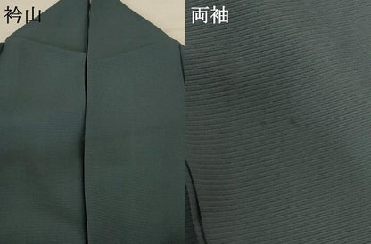 平和屋着物＊夏物 訪問着 絽 草花文 金彩 正絹 逸品 AABB8318jd