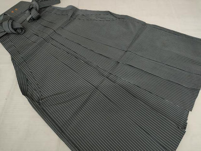 平和屋着物＊夏物　男性　馬乗り袴　縞　正絹　逸品　AABB8602st
