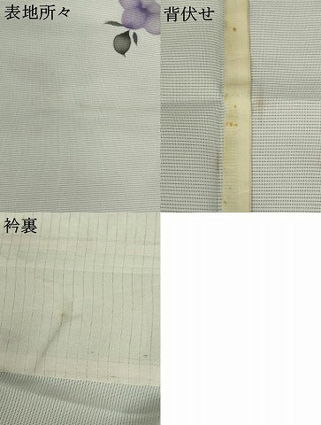 平和屋着物＊夏物 訪問着 絽 舞花文 暈し染め 金彩 洗える着物 AABB8633st
