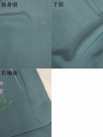 平和屋着物＊夏物 訪問着 絽 手描き 草花文 正絹 逸品 AABB8643st