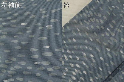 平和屋着物＊夏物 小紋 絽 霞文 正絹 逸品 AABB8646st