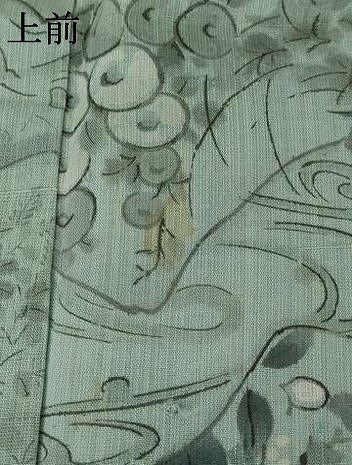 平和屋着物＊夏物 紗紬 地紙草花文 正絹 逸品 AABB8653st