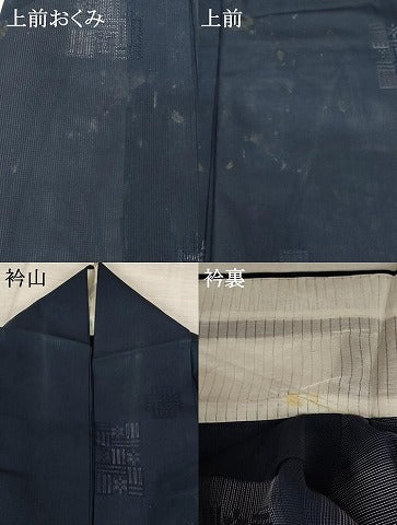平和屋着物＊夏物 小紋 縦絽 舞花紋紗 正絹 逸品 AABB8657st
