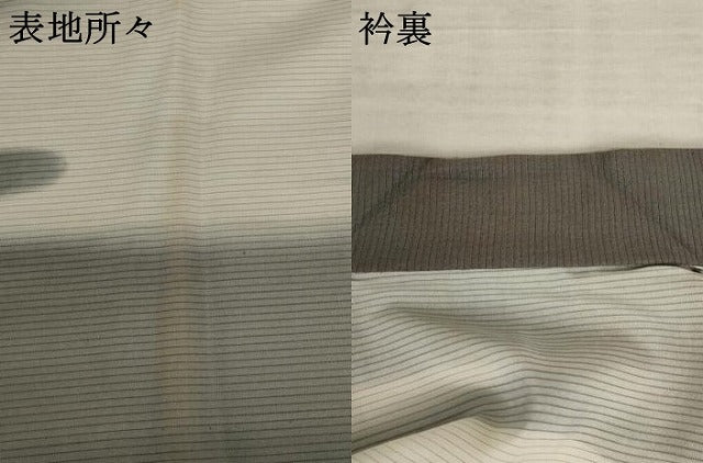 平和屋着物＊夏物 男性 長襦袢 絽 吉祥文 洗える着物 AABB8676st