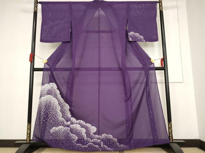 平和屋着物＊夏物 訪問着 絽 雲重ね文 洗える着物 AABB8680st