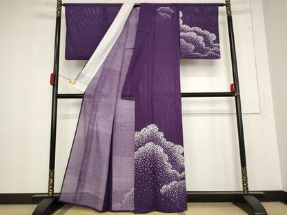 平和屋着物＊夏物 訪問着 絽 雲重ね文 洗える着物 AABB8680st