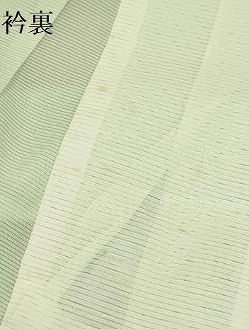 平和屋着物＊夏物 訪問着 絽 草花文 暈し染め 正絹 逸品 AABB8765sx
