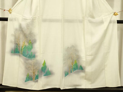 平和屋着物＊夏物 訪問着 絽 風景文 暈し染め 正絹 逸品 AABB8767sx