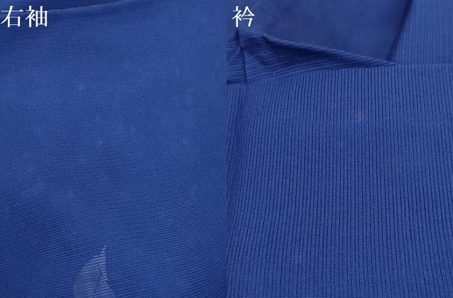 平和屋着物＊夏物 訪問着 絽 草花文 正絹 逸品 AABB8774sx