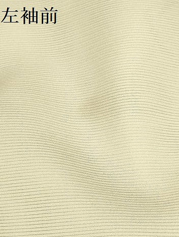 平和屋着物＊夏物 訪問着 絽 流水花文 銀彩 正絹 逸品 AABB8780sx