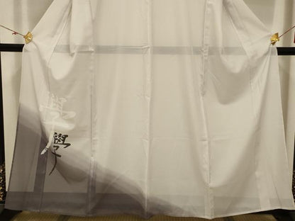 平和屋着物＊夏物 訪問着 絽 文字文 洗える着物 AABB8803sx