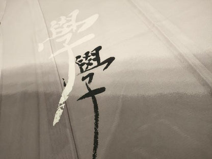 平和屋着物＊夏物 訪問着 絽 文字文 洗える着物 AABB8803sx