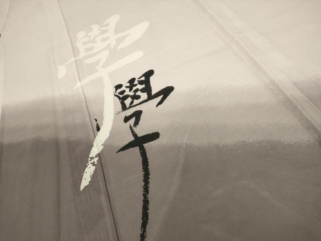 平和屋着物＊夏物 訪問着 絽 文字文 洗える着物 AABB8803sx