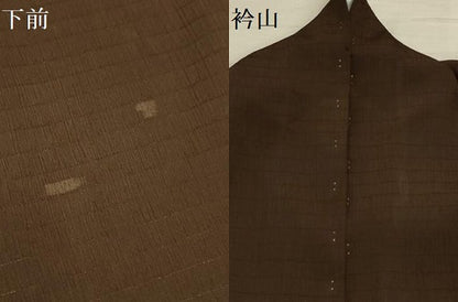 平和屋着物＊夏物 訪問着 絽 すすき文 洗える着物 AABB8825sx