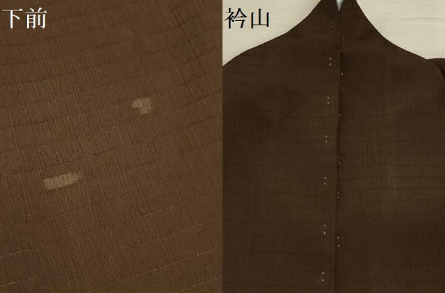 平和屋着物＊夏物 訪問着 絽 すすき文 洗える着物 AABB8825sx