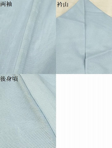平和屋着物＊夏物 訪問着 絽 花舟文様 金彩 洗える着物 AABB8839sx