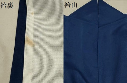 平和屋着物＊夏物 訪問着 絽 幾何学文様 洗える着物 AABB8843sx