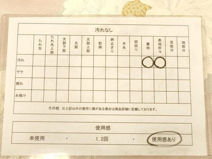 平和屋着物◎六通柄袋帯　唐織　草花文　金銀糸　正絹　逸品　AABB9193dt
