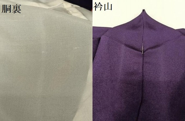 平和屋着物●訪問着 草花文 鬼しぼ縮緬 正絹 逸品 AABC0003zg