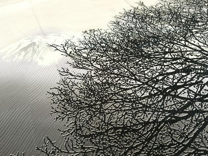 平和屋着物●日展作家　山本唯与志　レリーフ染　訪問着　遠山重ね樹林文　鈴乃屋扱い　正絹　逸品　AABC0021zg