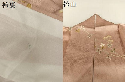 平和屋着物●訪問着 友禅 刺繍 枝垂れ花文 金彩 正絹 逸品 AABC0066zg