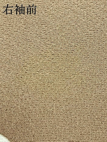 平和屋着物▽上質な小紋 単衣 枝花文 正絹 逸品 AABC0510fy