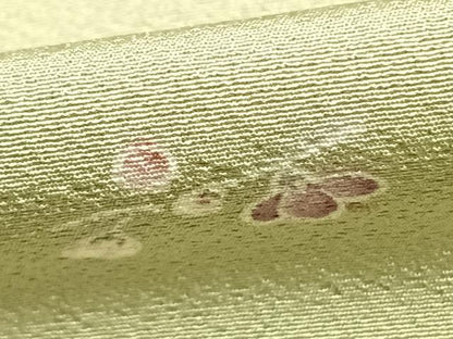 平和屋着物▽上質な小紋 単衣 枝花文 金彩 ますいわ屋扱い 正絹 逸品 AABC0511fy