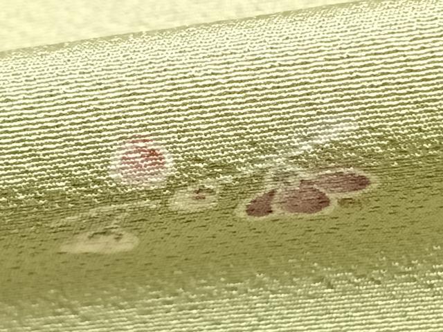 平和屋着物▽上質な小紋 単衣 枝花文 金彩 ますいわ屋扱い 正絹 逸品 AABC0511fy