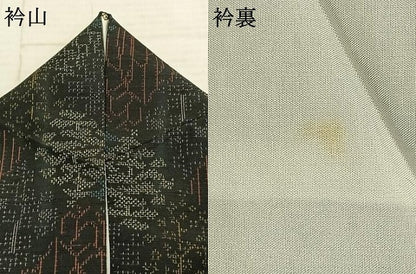 平和屋着物■上質な紬　胴抜き仕立て　樹林文　黒地　正絹　逸品　AABC0561fy