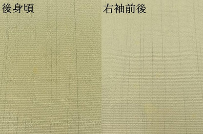平和屋着物▽本塩沢 単衣 舞花文 正絹 逸品 AABC0692jh