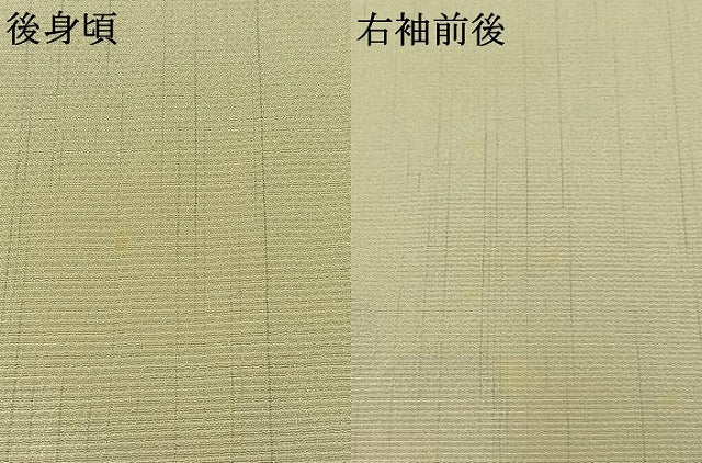 平和屋着物▽本塩沢 単衣 舞花文 正絹 逸品 AABC0692jh