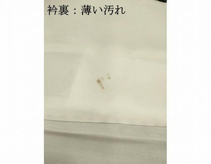 平和屋着物■お召　草花文　正絹　逸品　AABC1092ma