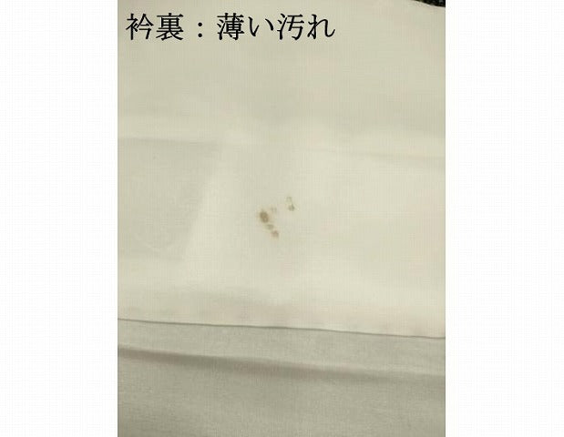 平和屋着物■お召　草花文　正絹　逸品　AABC1092ma