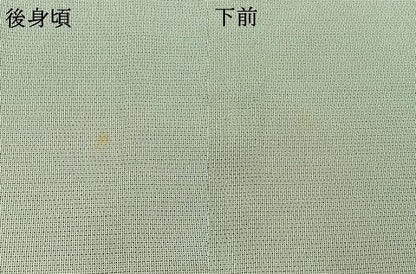 平和屋着物▽藤倉守正 訪問着 本塩沢 単衣 草花文 正絹 逸品 AABC1700jh