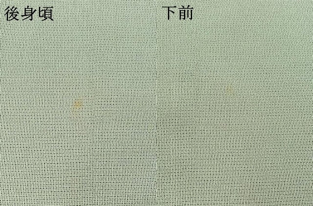 平和屋着物▽藤倉守正 訪問着 本塩沢 単衣 草花文 正絹 逸品 AABC1700jh
