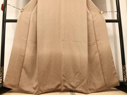 平和屋着物●訪問着　江戸小紋　吉祥文　暈し染め　正絹　逸品　AABC1769ph