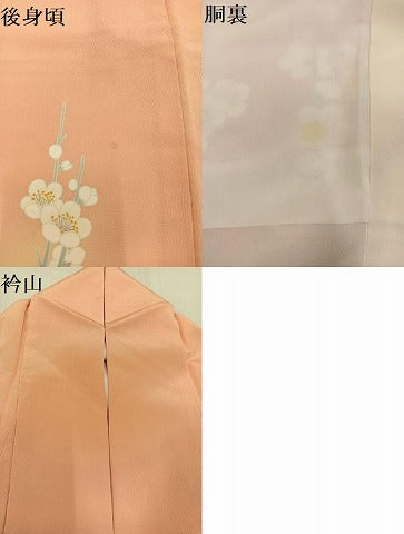 平和屋着物●訪問着　友禅　枝花文　暈し染め　正絹　逸品　AABC1786ph