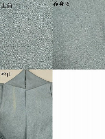 平和屋着物＊夏物 江戸小紋 絽 鮫小紋柄 正絹 逸品 AABC1808jd