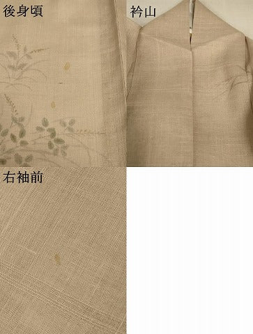 平和屋着物＊夏物 訪問着 紗 紬地 草花文 金彩 正絹 逸品 AABC1812jd