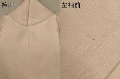 平和屋着物＊夏物 訪問着 絽 辻が花 正絹 逸品 AABC1825jd