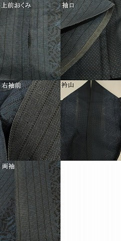 平和屋着物＊夏物 本場大島紬 夏大島 草葉間道 正絹 逸品 AABC1831jd