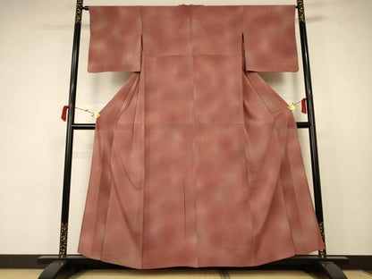平和屋着物＊夏物 小紋 絽縮緬 霞文 暈し染め 正絹 逸品 AABC1838jd