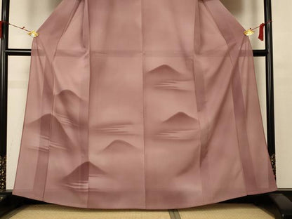 平和屋着物＊夏物 訪問着 絽 遠山文 暈し染め 正絹 逸品 未使用 AABC1839jd